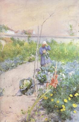 In the Kitchen Garden (nn2, Carl Larsson